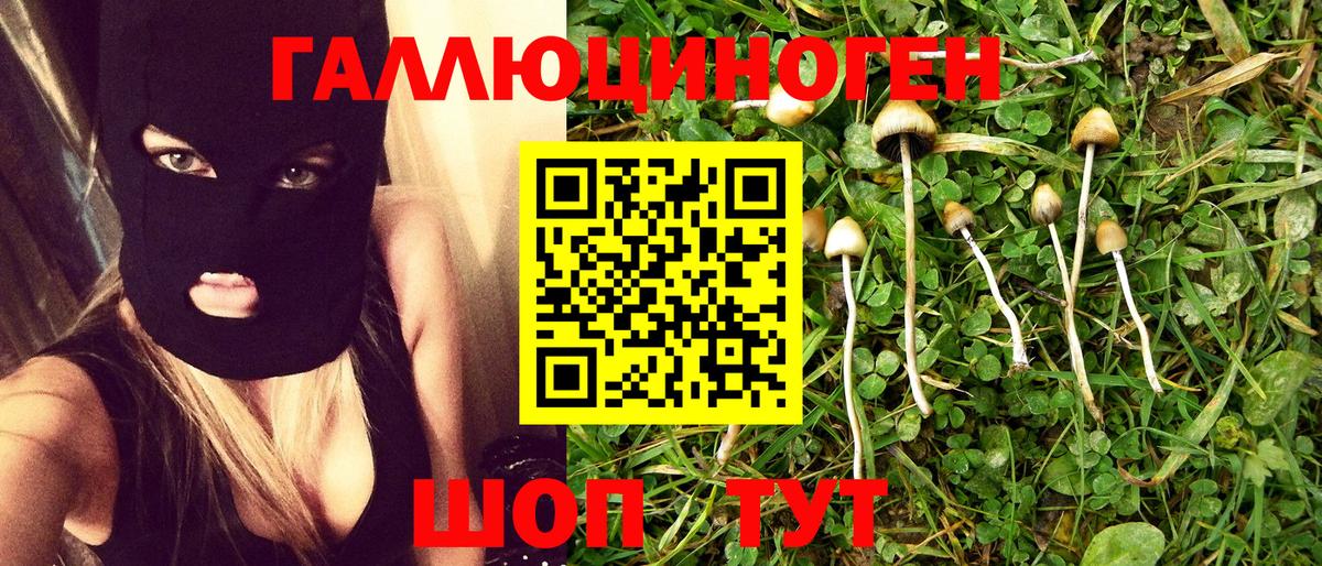 Галлюциногенные грибы Cubensis  купить закладку  Новочеркасск  Вход с VPN 